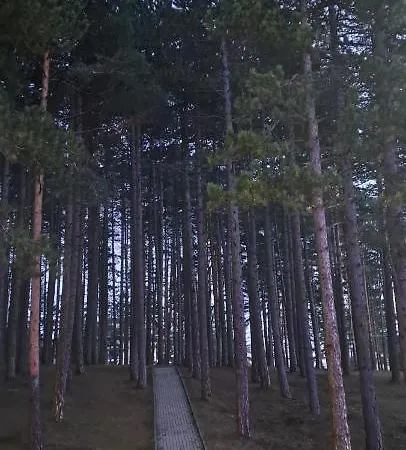 A&f Zlatiborski Zlatibor