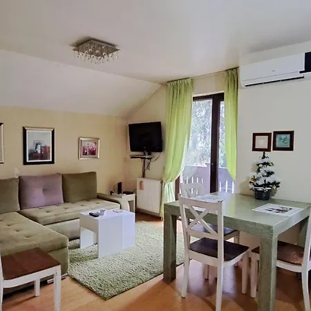 A&f Zlatiborski * Zlatibor