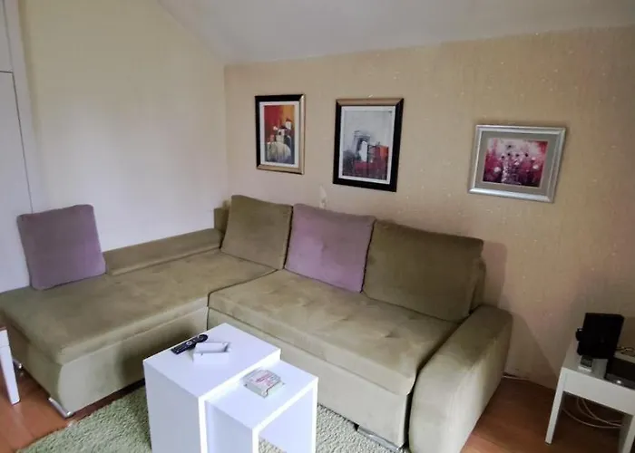 A&f Zlatiborski ズラティボール