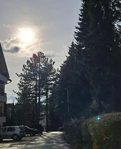 A&f Zlatiborski ズラティボール