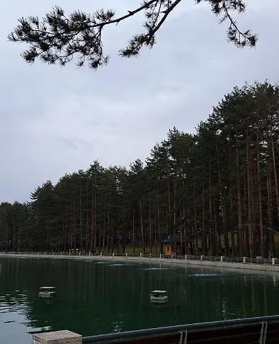 A&f Zlatiborski アパート